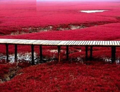 秋高气爽自然风景